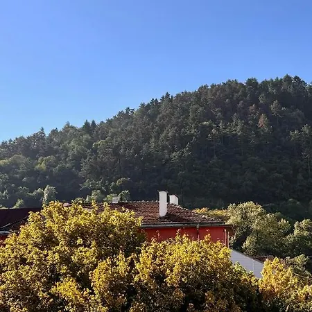 Avalon Hotel 3*